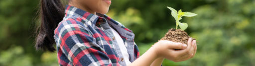 サステナビリティ