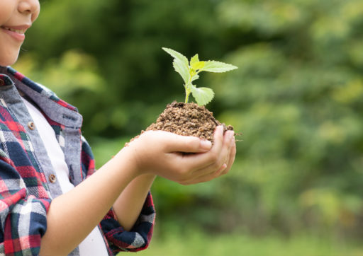 サステナビリティ
